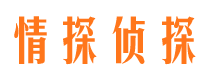 清新市私家调查